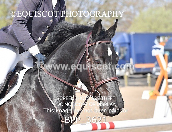 BPP_3621 - CLASS 1 FRI Club/ Unaffiliated 80cms Open