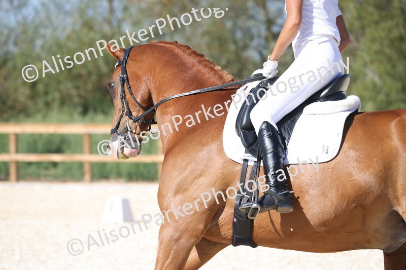 20260905-1543 - Class 5 - Novice 2