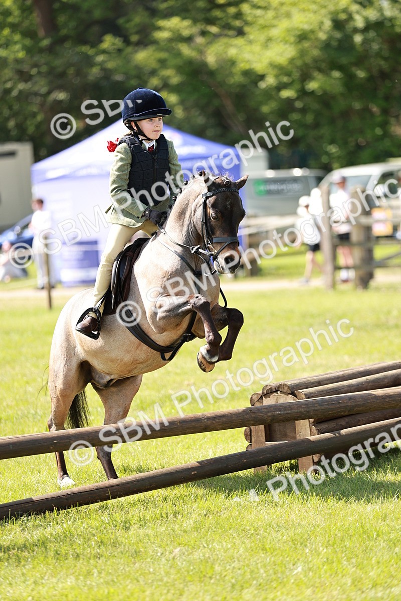 SBM_13484 - Class 108-109 - BSPS LIHS Open Gradle & Nursery Stakes