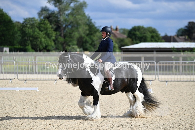 WJ5_7775 - Time 16:40 to 16:55