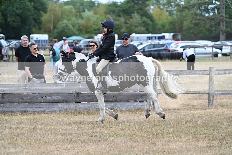 WJ7_7306 - Class 2 Best Rider