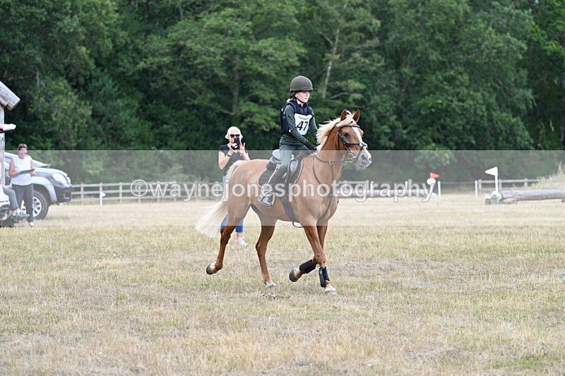 WJ7_1618 - 60cm Time 13:20 to 14:27