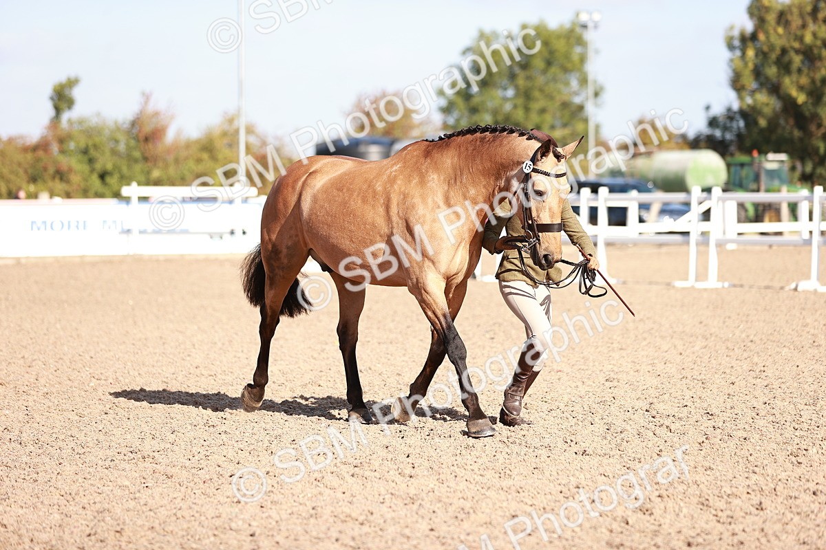 SBM_22070 - Class 703 - IH Coloured
