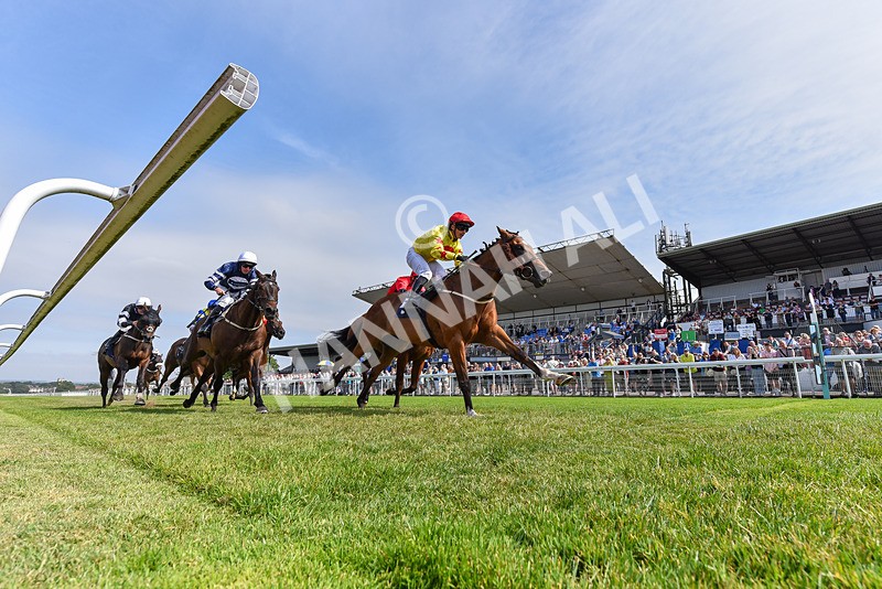 140726-Race 4-Kitsune Power-2970 - Race 4 15.48pm Beverley Annual Badgeholders Handicap