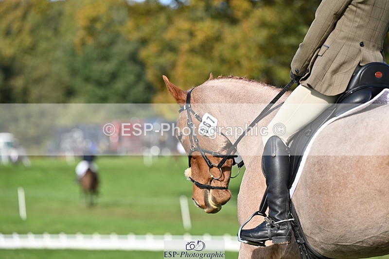 251024A-115434-09809 - G-567-Imogen.Peck