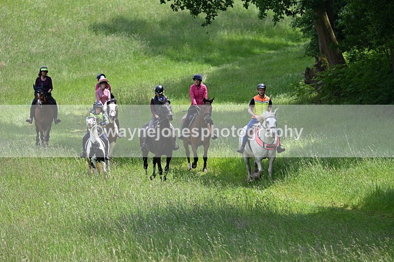 WJ7_8757 - Group 4 11am