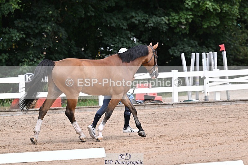 250716-130235-00279 - Trot Up 12.30 to 1.30
