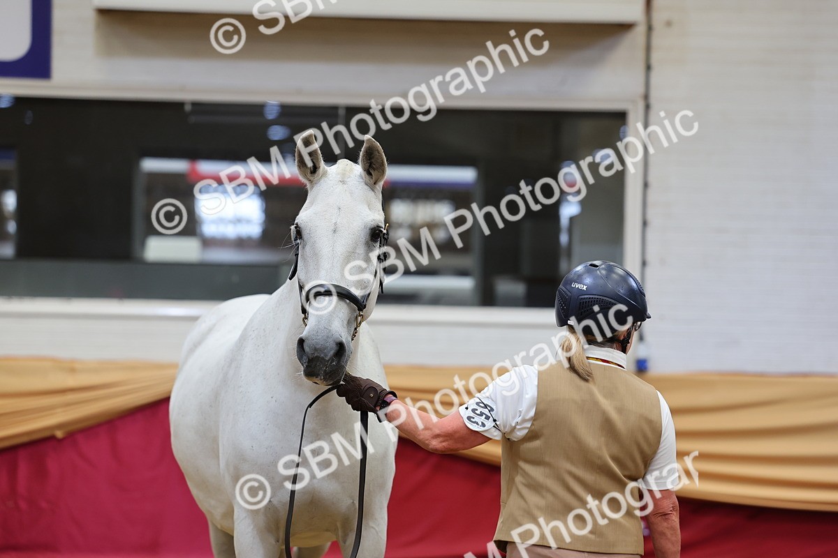 SBM_22702 - Class 903 - Supreme Final - IH Pre Vet