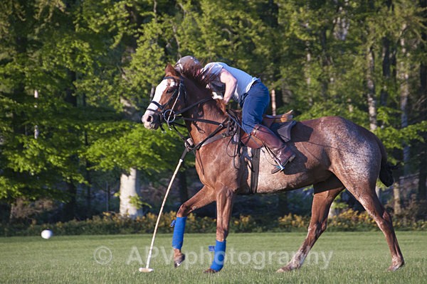 _DSC8267 - POLO Training