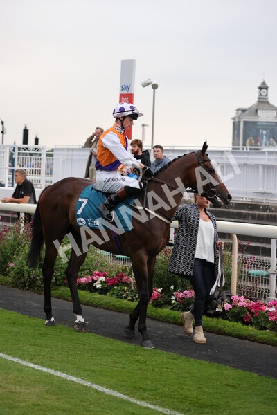 yr22072022r7-13 - Race 7 8.25pm The Sky Bet Go-Racing-In-Yorkshire Summer Festival Stakes