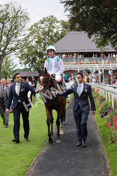 yr20082021r5-37 - Race 5 4.10pm British Stallion Studs EBF Convivial Maiden Stakes (Plus 10 Race)
