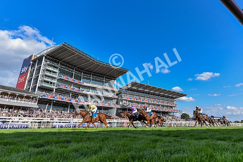 220826-Race 7-Raammee-6264 - Race 7 17.20pm Sky Bet Dav Reid Finale Handicap