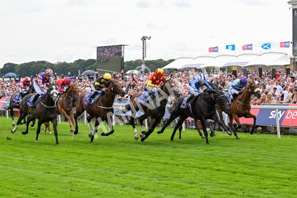 260725-Race 2-Elmonjed-0327 - Race 2 2.00pm Sky Bet Dash Handicap