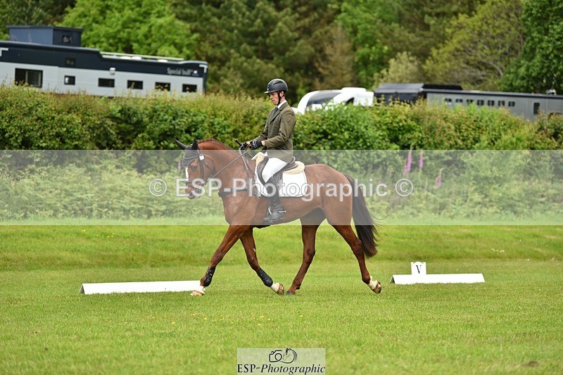 240523B-123822-02199 - 5 Year Old