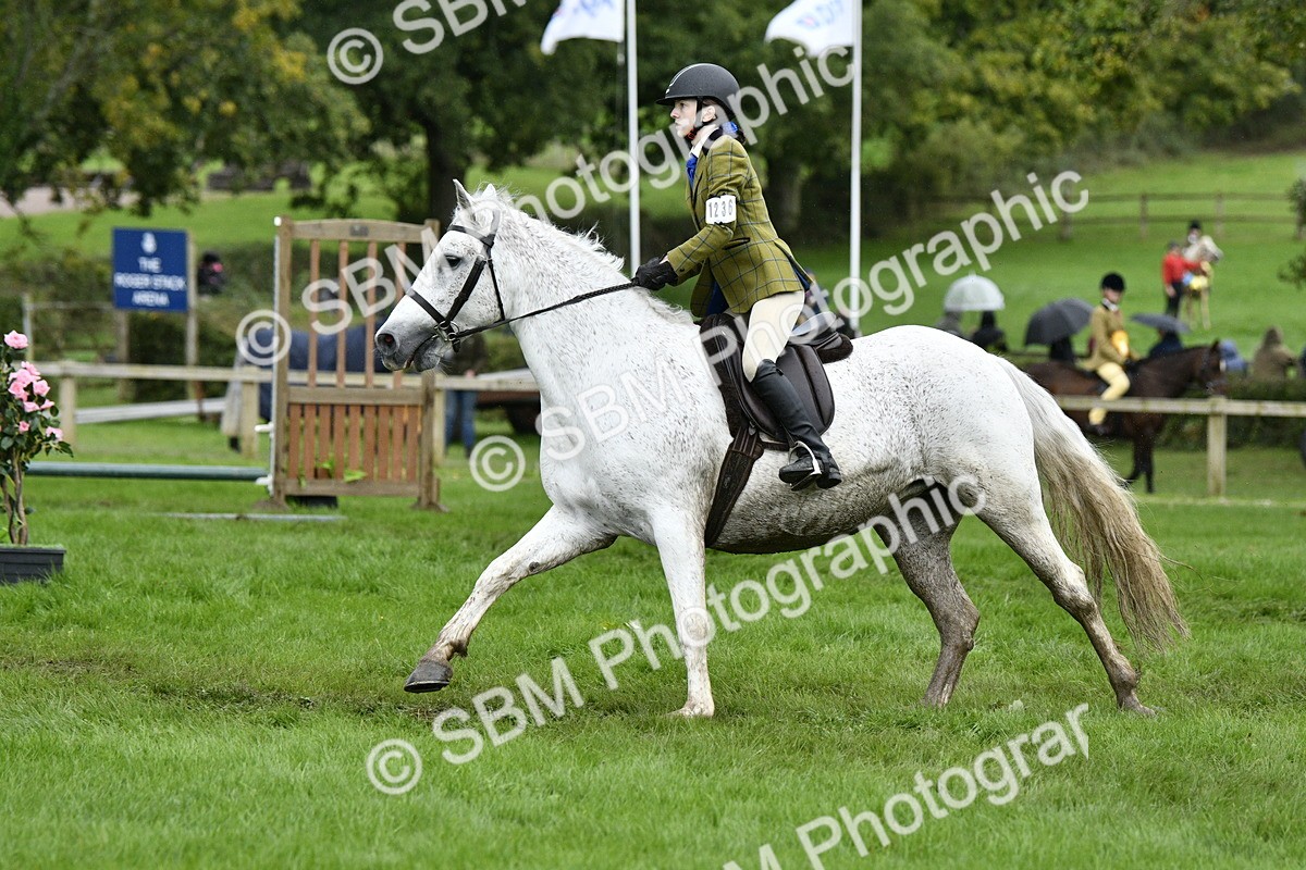 SBM_42263 - S32 - Mountain & Moorland Working Hunter Pony