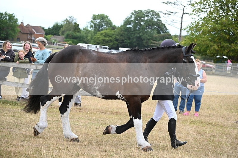 WJ6_8079 - Class 10 Coloured in Hand