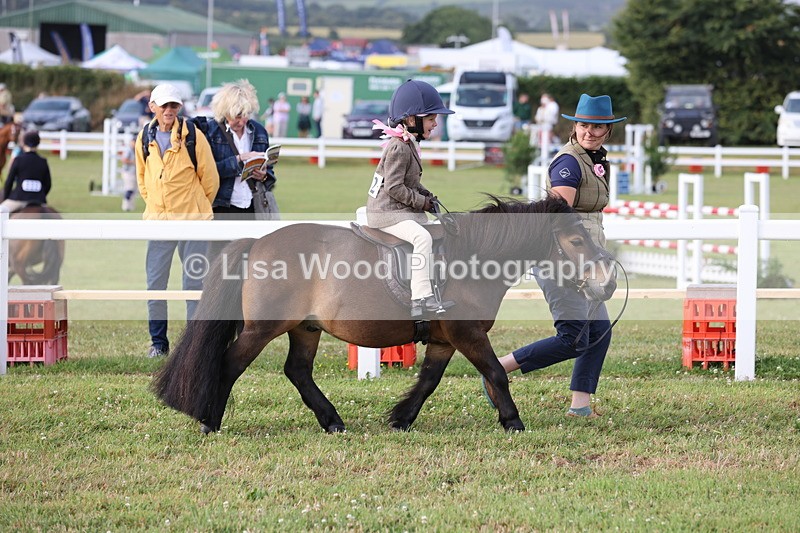 JPP_0230 - Class 14: Cornish Combination Leading Rein