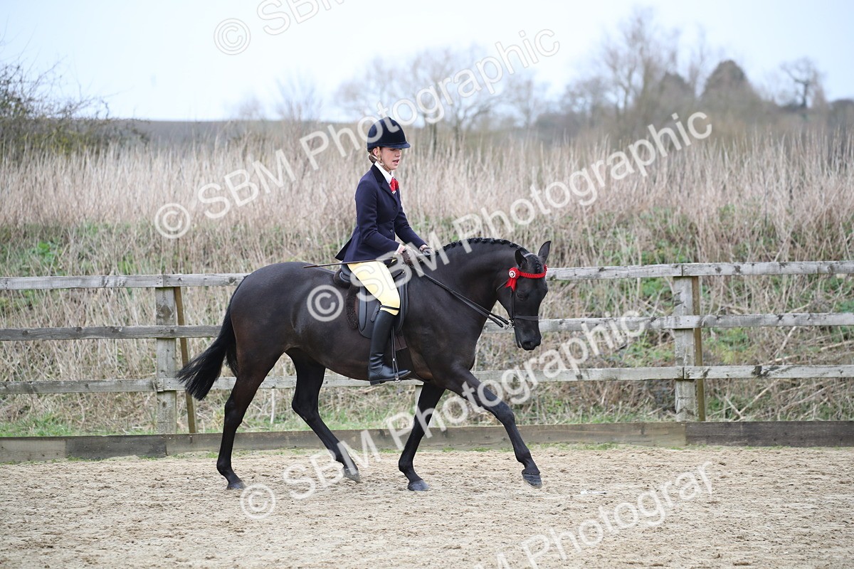 SBM_004710 - Class 5-9 - NPS In Hand-Show Hunter-Intermediate Ridden Inc Ridden Championship
