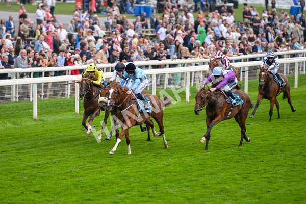 080925-Race 6-Rhapsody-7762 - Race 6 5.00pm Sky Bet Build A Bet Fillies' Handicap