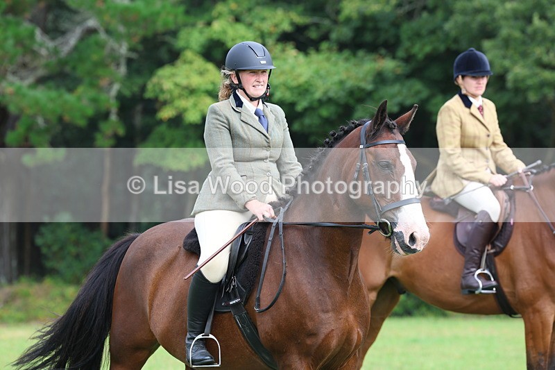 3E7A5910 - Class 26 and 27: 70cm Working Hunter