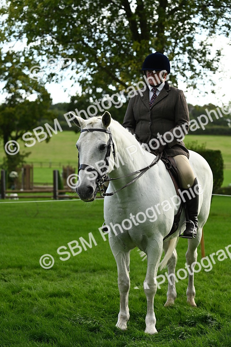 SBM_26383 - S6 - Novice & newcomer Ridden horse
