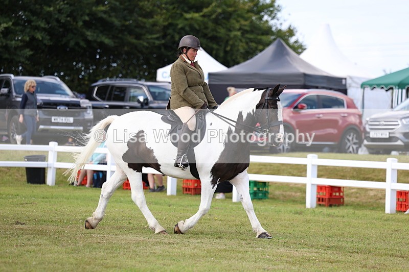 3E7A9647 - Class 5: Rising Star Lightweight/Heavyweight Cobs