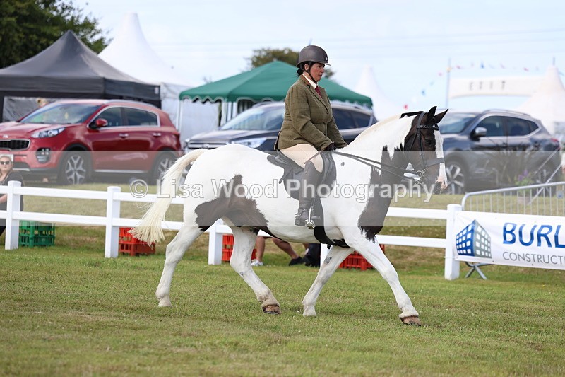 3E7A9652 - Class 5: Rising Star Lightweight/Heavyweight Cobs