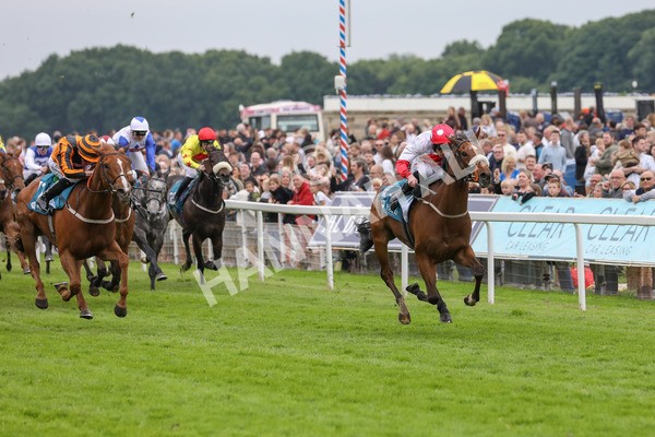 250524-Race 7-Feel The Need-3361 - Race 7 5.05pm Alf Duffield Memorial Handicap