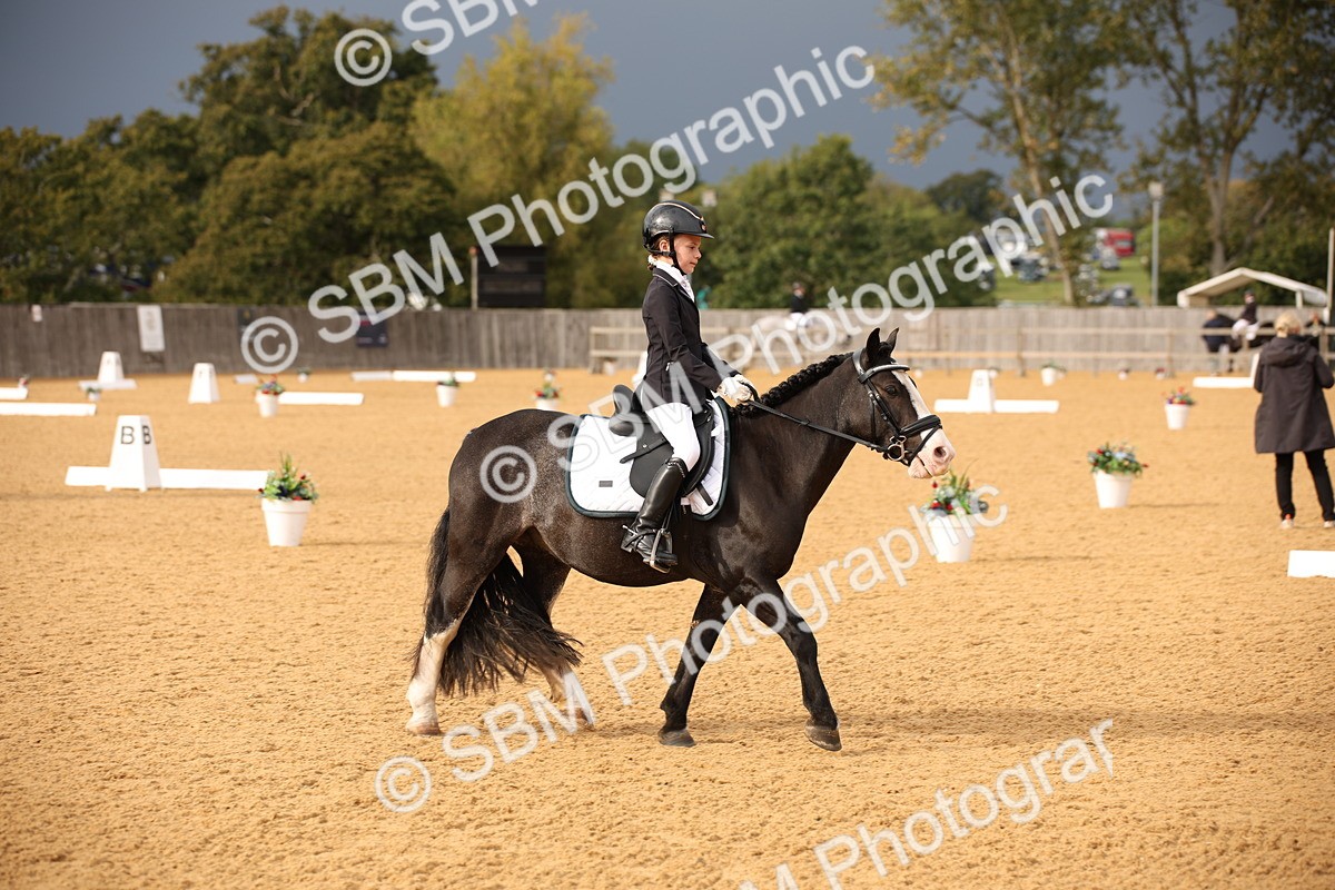 SBM_12274 - D3 Small  Tour Championship Intro A