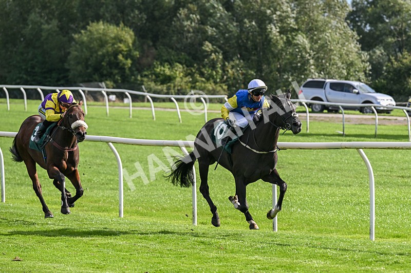 080926-Race 5-Lope Y Linda-2703 - Race 5 4.11pm Every Race Live On Racing TV Handicap