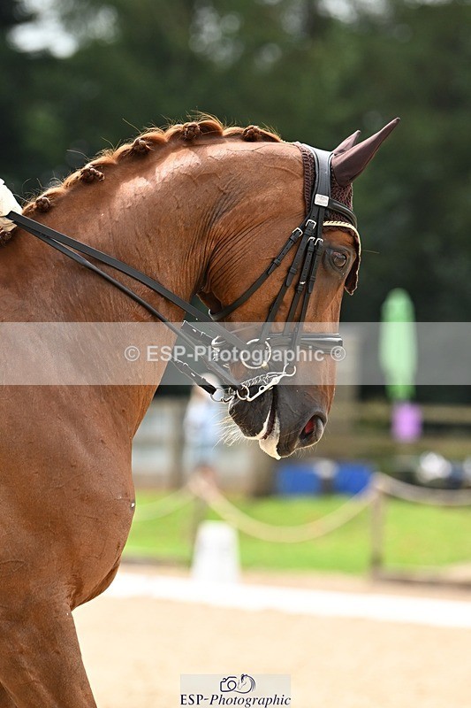 240811-132302-06014 - 220-Mark.Forrest-Flavio.B