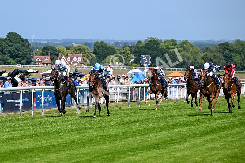 230626-Race 3-Tamzan-0657 - Race 3 15.15pm Big Racing Weekender Next 3 And 4 July Restricted Maiden Stakes
