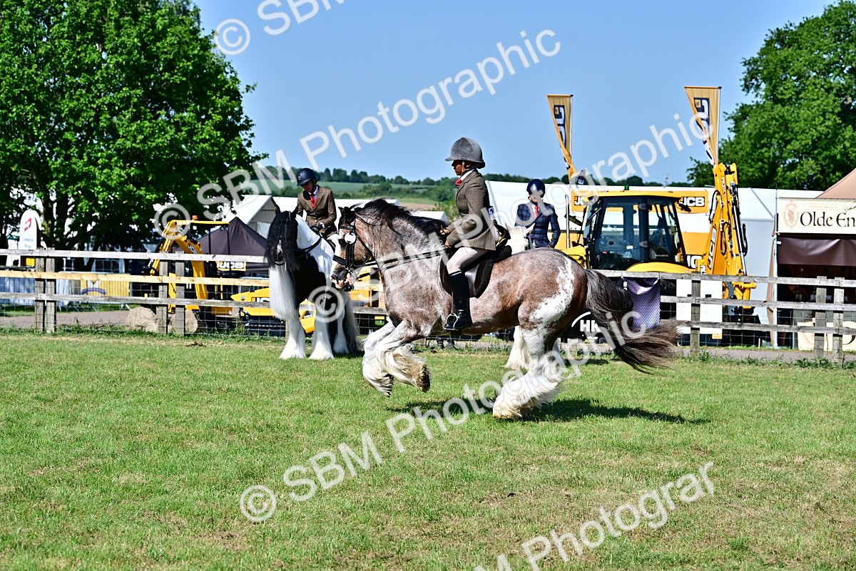SBM_19434 - Class 101-102 - BSPS LIHS Performance Coloured Horse/Pony