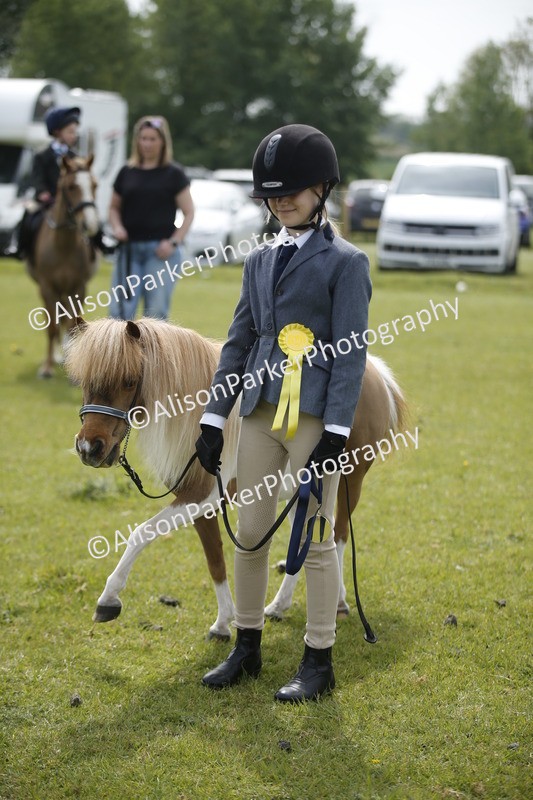 20260426-1965 - Class 8 - Prettiest Mare