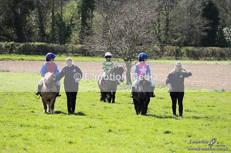 Shet 060426 339 - Shetland Pony Racing Paxford Races Easter Mon 06/04/26