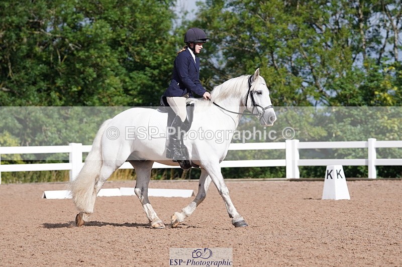 240809A-093320-00271 - Dressage Competition