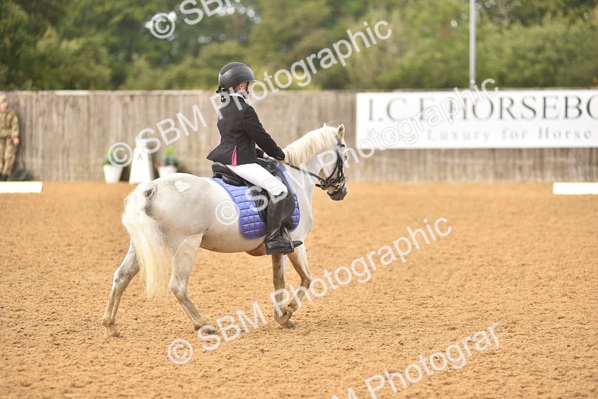 SBM_42284 - D22 - Junior Championship Intro 3