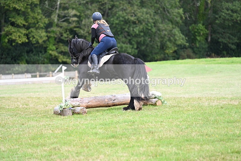 WJ7_7905 - 40cm Time 10:49 to 11:18