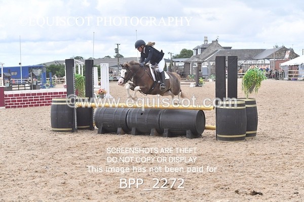 BPP_2272 - DERBY CLASS 6 - 70CM