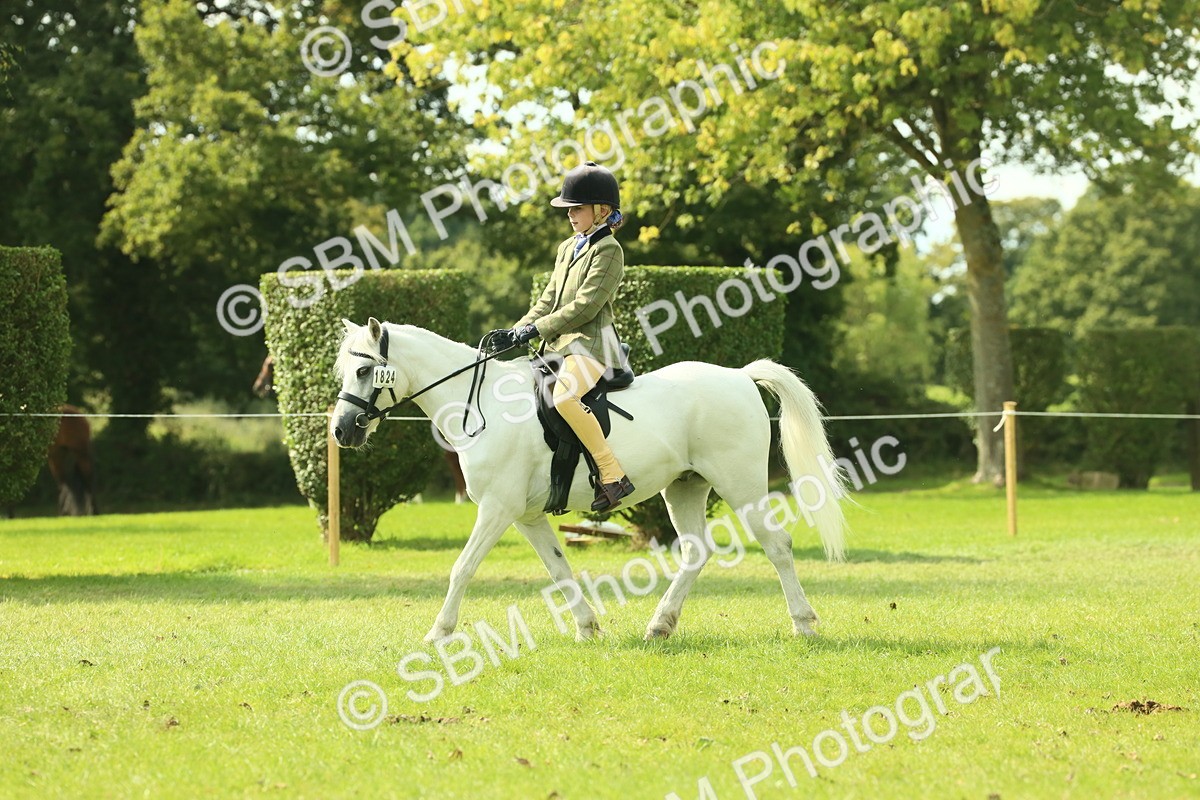 SBM_66489 - S34 - Rehabilitated Rescue Horse & Pony In Hand & Ridden
