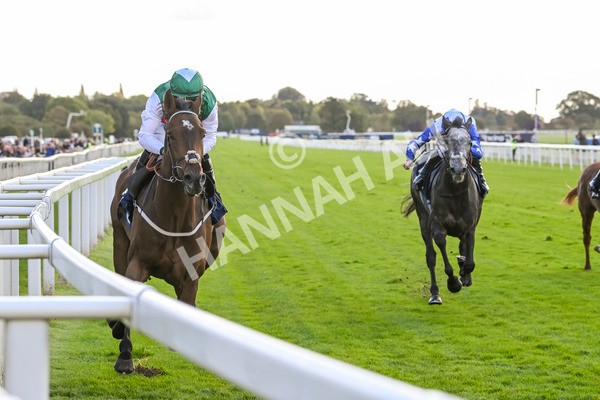 111024-Race 3-Minstrel Knight-1668 - Race 3 2.40pm William Hill Finale Handicap