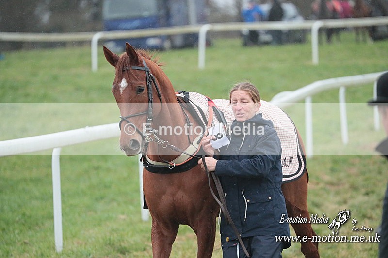 PtP 101223 165 - New Forest Hounds PtP Larkhill 10/12/23