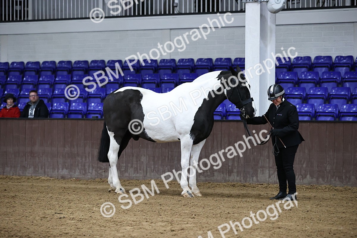 SBM_5280 - Class 32 - In Hand Cob Type