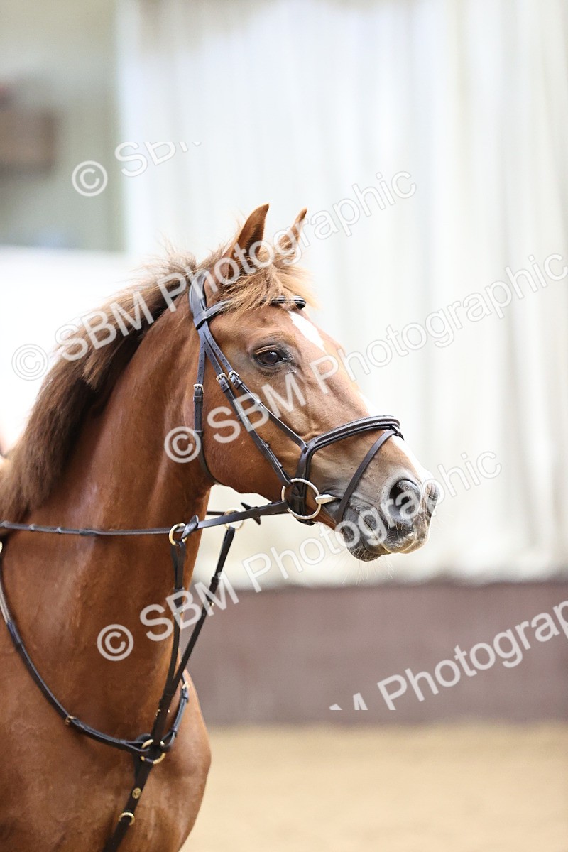 SBM_010970 - 70cm