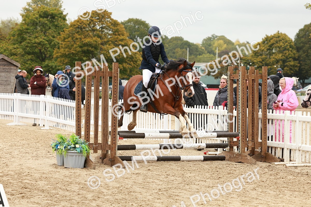 SBM_69196 - J13 - Junior Pony 60cm Championship