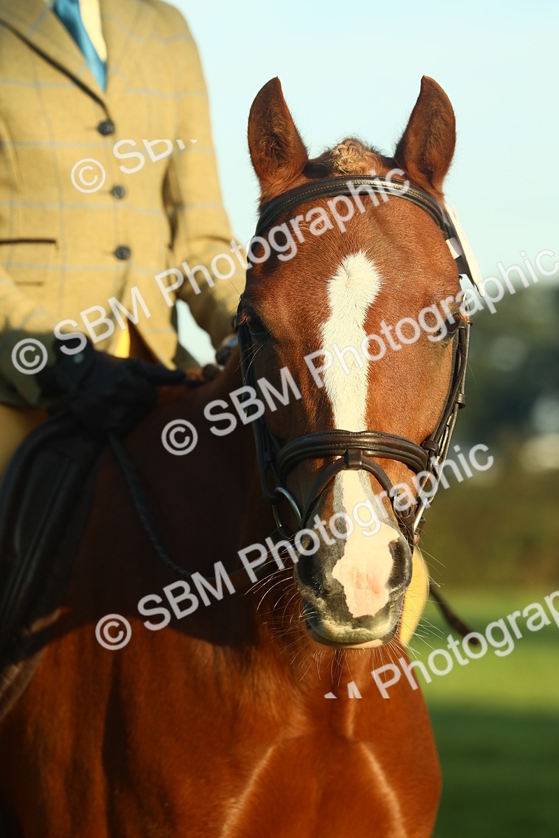 SBM_56641 - S36 - Starters Best Turnout