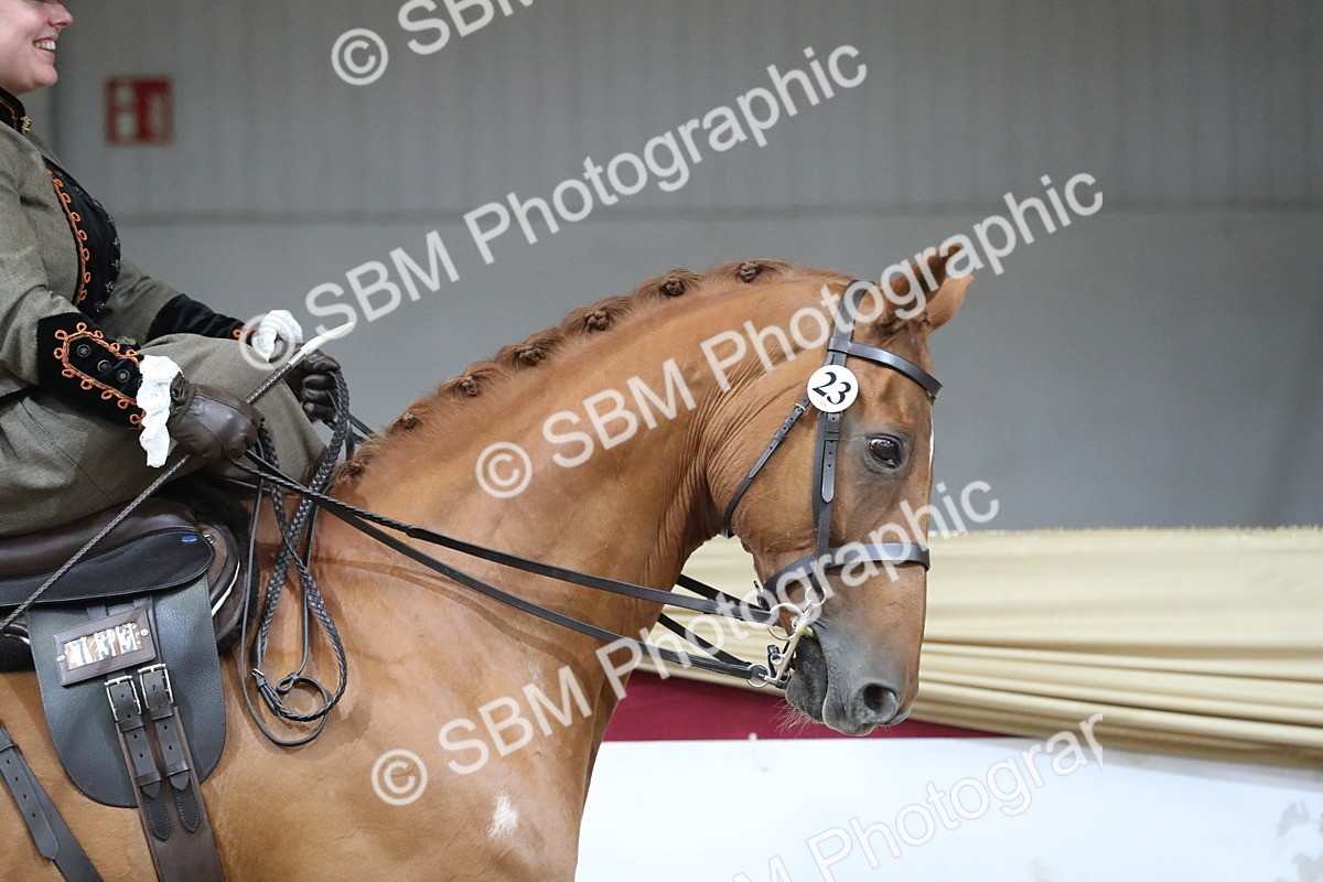 SBM_11512 - Class 105 Ridden Costume- Side Saddle