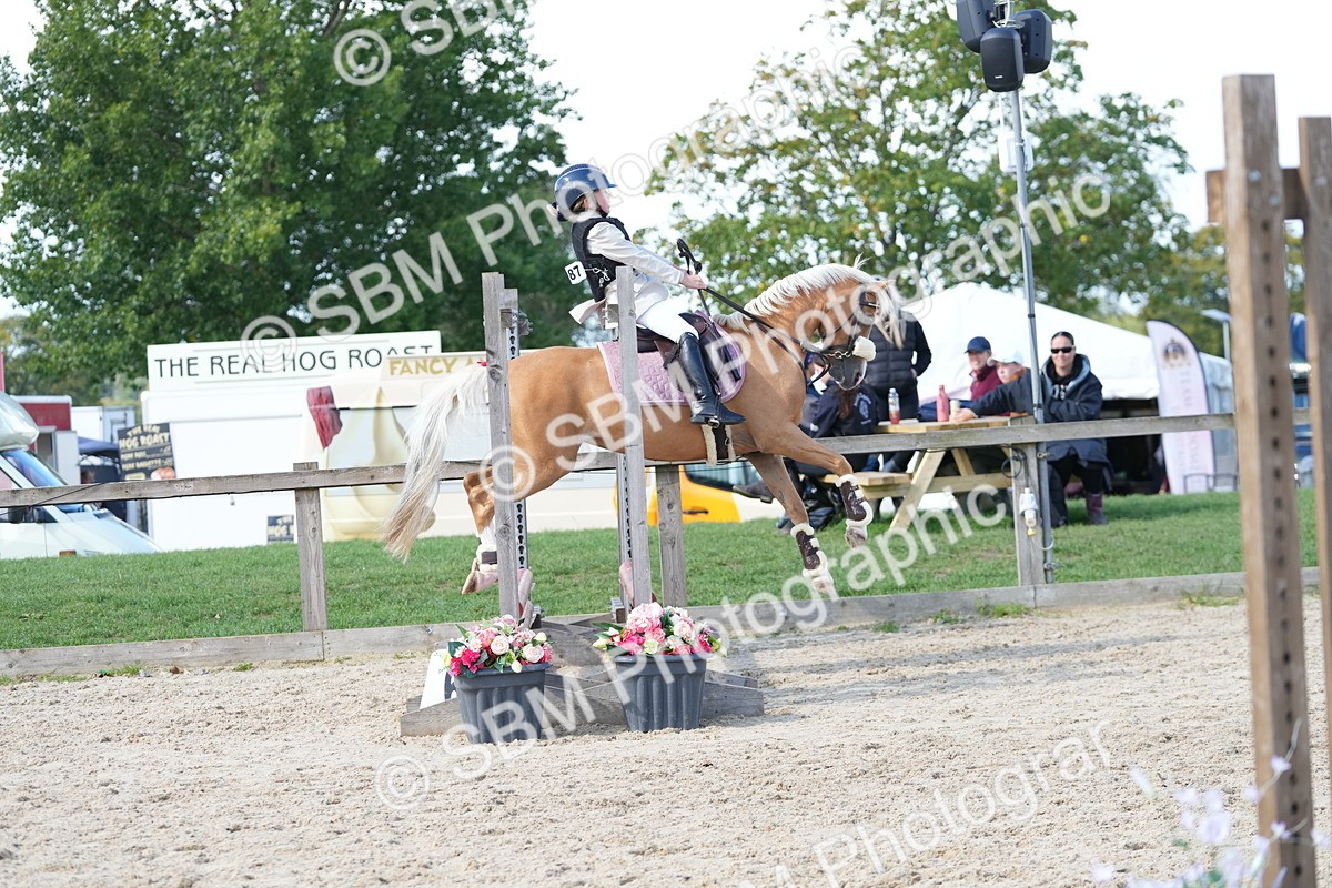 SBM_18166 - J58 - Clear Round 50cm