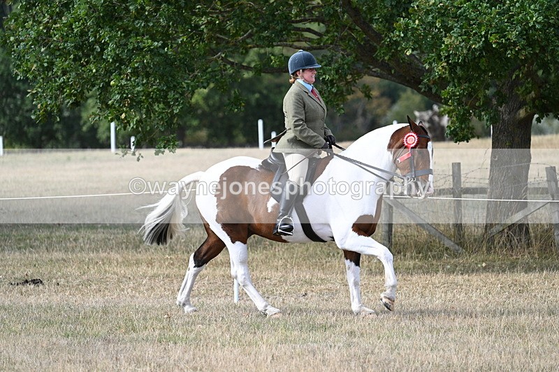 WJ7_7754 - Ridden Championship