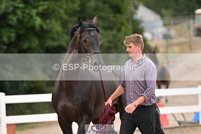 250716-160352-02380 - Trot Up 3.30 to 4.30